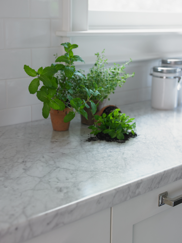 CARRARA BIANCO ETCHING - Image 2